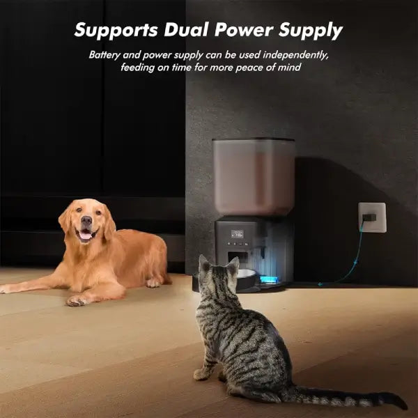 Large automatic dog feeder with backup battery ensuring meals are never missed at home