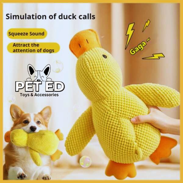 Fluffy and fun duck toy available at Pet Store