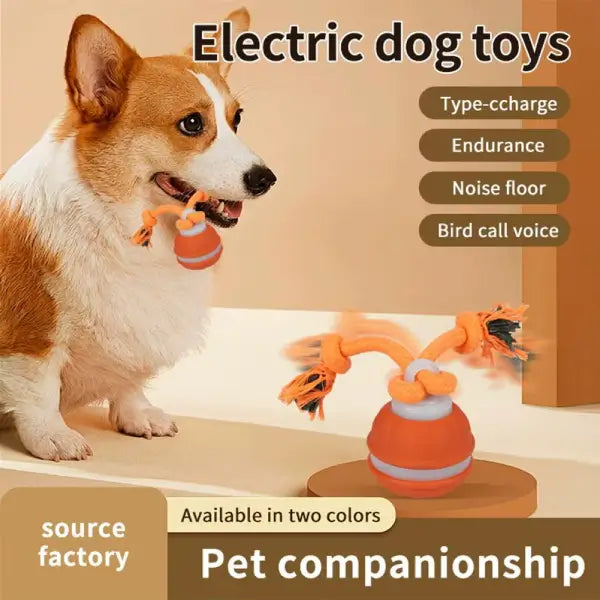 Electric dog toy shown with pet promoting enrichment using interactive dog toys concept