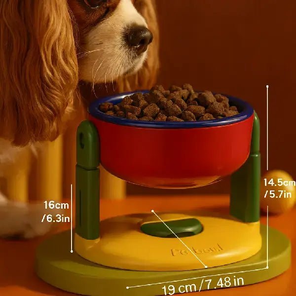 Anti gulping pet feeder with ergonomic elevated design for small dogs