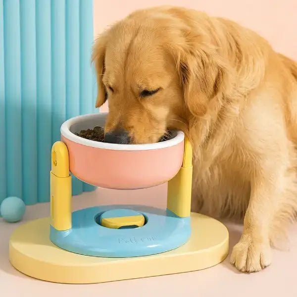 Anti gulping pet feeder with elevated design for healthy digestion