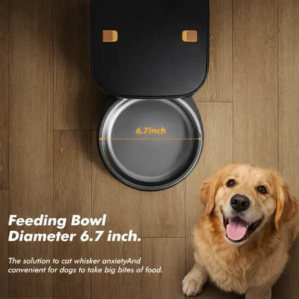 Golden Retriever next to automatic pet feeder showing bowl size for large breeds