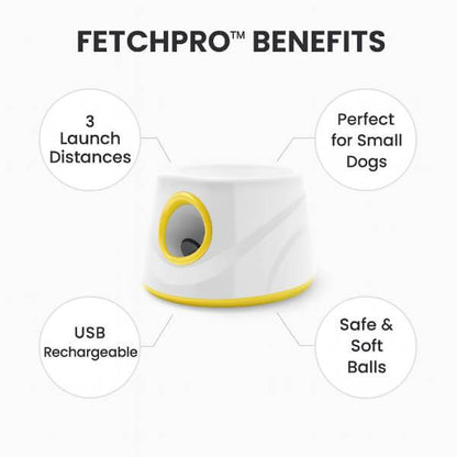 Pet Store ED dog fetch toy top features panel