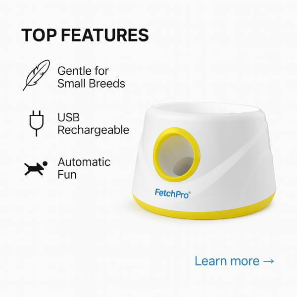 Tired Dog Boredom? Try the Automatic Dog Ball Launcher Today - Pet Store ED