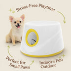 Tired Dog Boredom? Try the Automatic Dog Ball Launcher Today - Pet Store ED