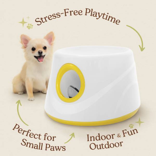 Tired Dog Boredom? Try the Automatic Dog Ball Launcher Today - Pet Store ED
