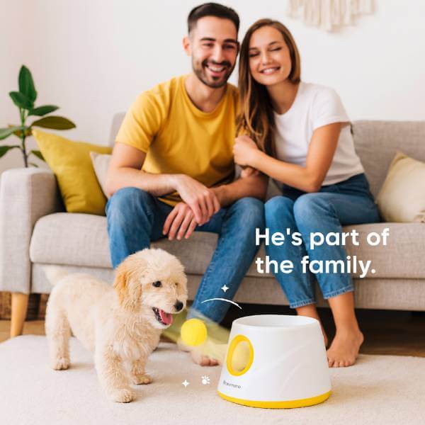 Tired Dog Boredom? Try the Automatic Dog Ball Launcher Today - Pet Store ED