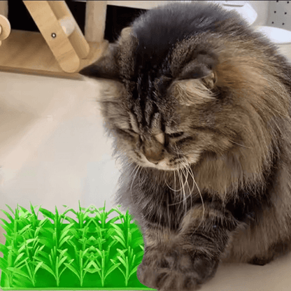 Comer rápido perjudica a las mascotas: cómo solucionarlo con suavidad | Gato