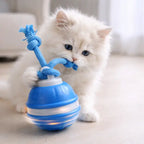 Pet enjoying rolling ball concept from interactive cat toys supporting curiosity