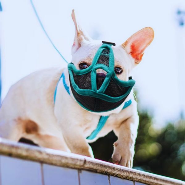 Best Muzzle for Short Snout Dogs – Frenchies & Pugs - Pet Store ED