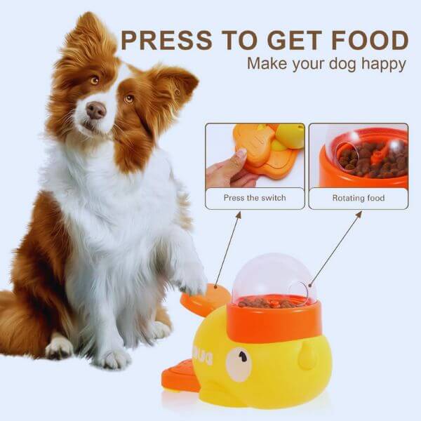 Pet Store ED food puzzle toy for dogs, fun and engaging.