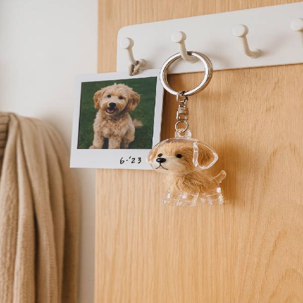 Keep Your Pet Close Forever with Our Pet Hair Keepsake Keychain - Pet Store ED