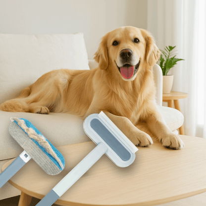 Golden Retriever on clean sofa with FurSweep Pro reusable pet hair remover by Pet Store ED