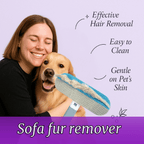Still Covered in Pet Hair? This Tool Will Change Your Life Today! - Pet Store ED