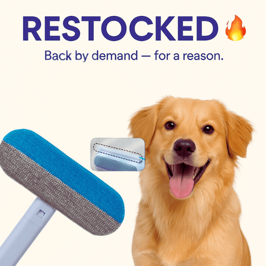 Pet Store ED FurSweep Pro restocked by high demand – reusable pet fur remover tool