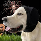 White dog wearing noise-cancelling ear muffs outside during fireworks