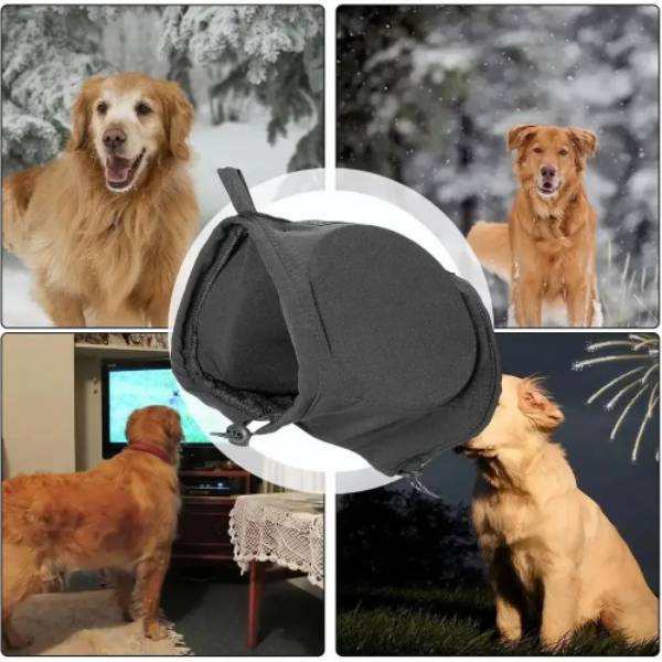 Noise-reducing dog ear muffs for golden retriever in winter, indoors, fireworks scenes