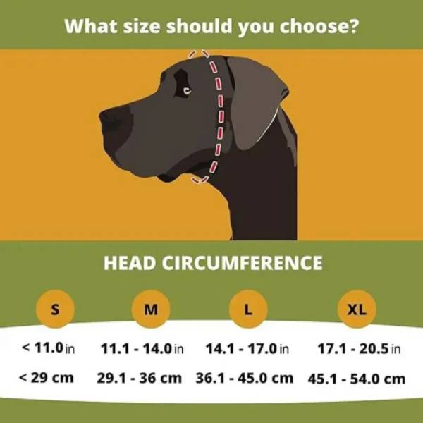 Dog head circumference size guide chart with small, medium, large, XL measurements in inches and cm.