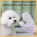 White fluffy dog and hand wearing gentle cleaning pet wash glove for easy pet grooming
