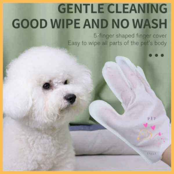 Cute white dog demonstrating WasVrij Pet Wash Gloves in action.