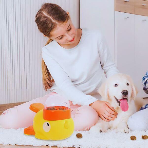 Pet-friendly slow feeder dog bowl from Pet Store ED.