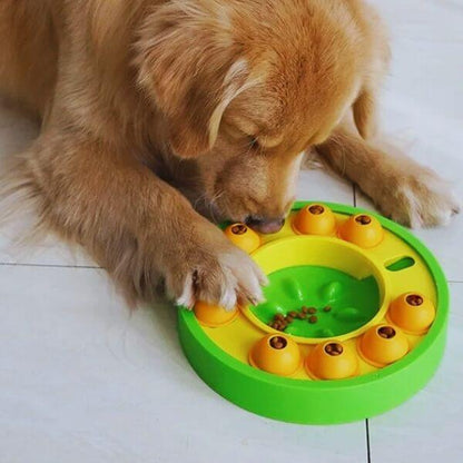 Golden retriever solving interactive feeding puzzle