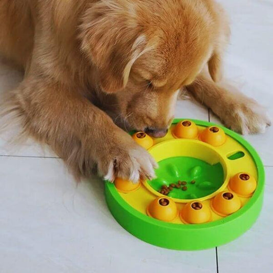 Golden retriever solving interactive feeding puzzle