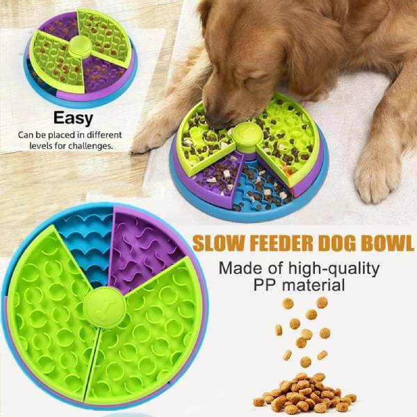 Slow feeding dog bowl with colorful compartments