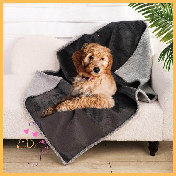 Goldendoodle dog on gray waterproof dog blanket on a white couch indoors