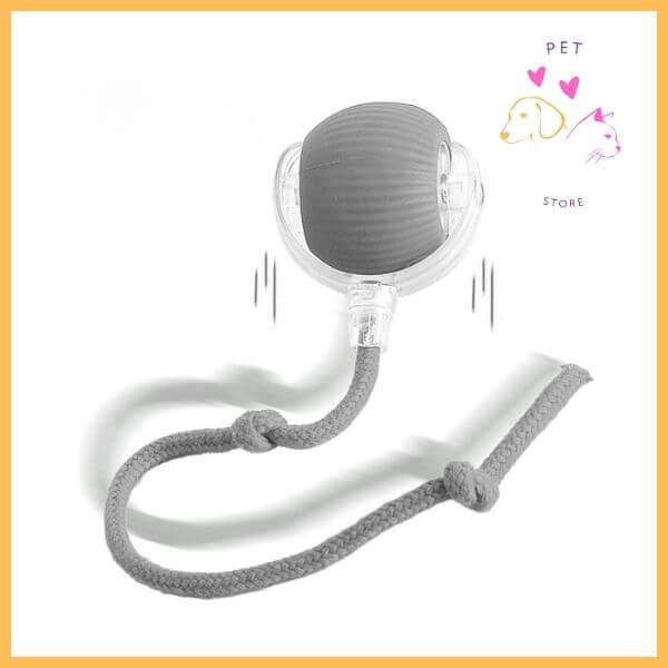 Gray rubber dog toy ball with rope, clear holder, pet store branding, white background
