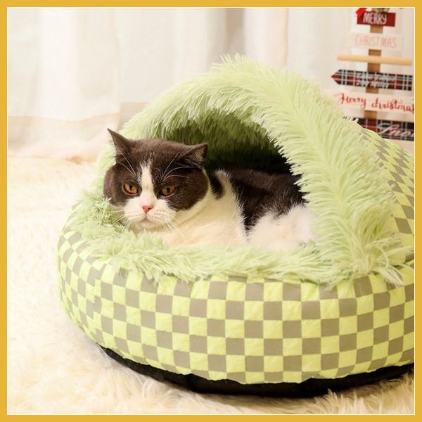 Gray and white cat relaxing in a green cozy plush pet bed with checkered pattern