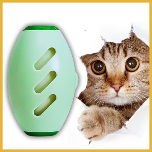 Green lint roller with tabby cat peeking through white background