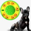 Turn Chaos into Calm – BrainWave Puzzle Feeder Bowl - Pet Store ED