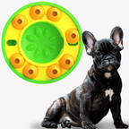 Turn Chaos into Calm – BrainWave Puzzle Feeder Bowl - Pet Store ED