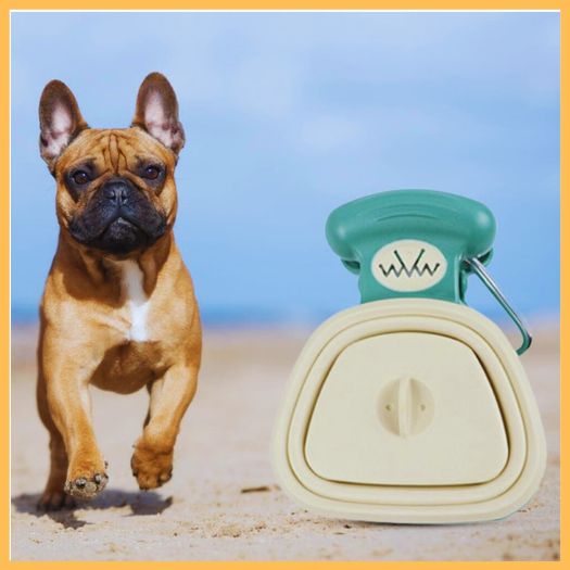 French bulldog on beach with portable dog poop scooper
