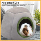 Guinea pig in cozy grey hamster bed with green trim on soft indoor rug