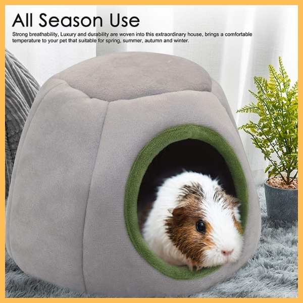 Guinea pig in cozy grey hamster bed with green trim on soft indoor rug