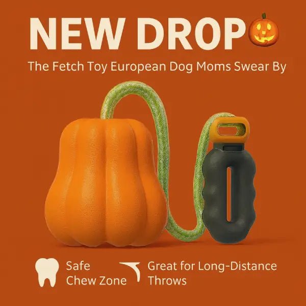 Halloween dog toy and fetch toy with a safe chew zone and long-distance rope