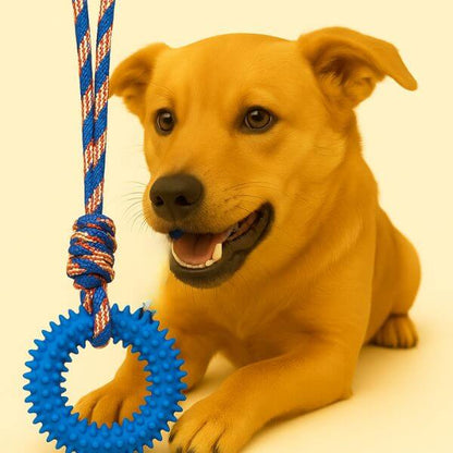 Happy dog excited with Ringy, the best buy durable dog toy at Pet Store ED.