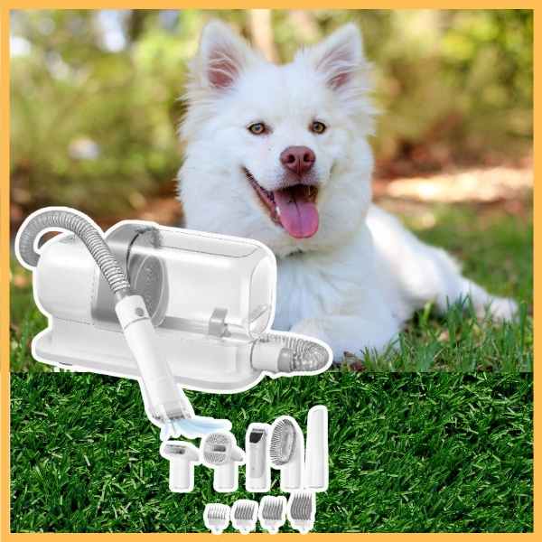 Happy white dog on grass with a silent dog grooming clipper and brush attachments in foreground
