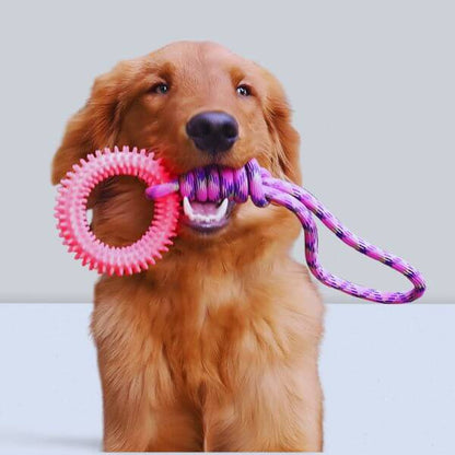 Ringy interactive dog toy offering relief for lonely, bored dogs.