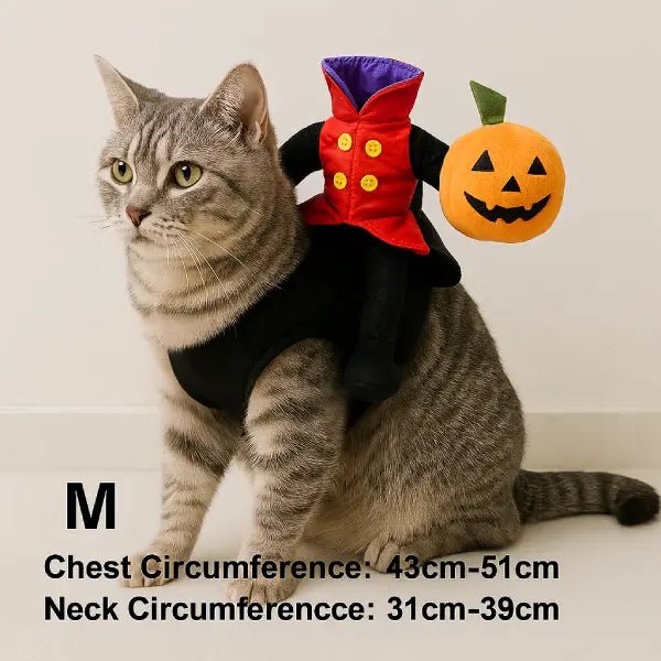 Headless horseman costume size M with chest 43 to 51 cm and neck 31 to 39 cm worn by a tabby cat
