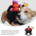 Corgi wearing a headless horseman costume with a rider in a red jacket and a pumpkin on its back