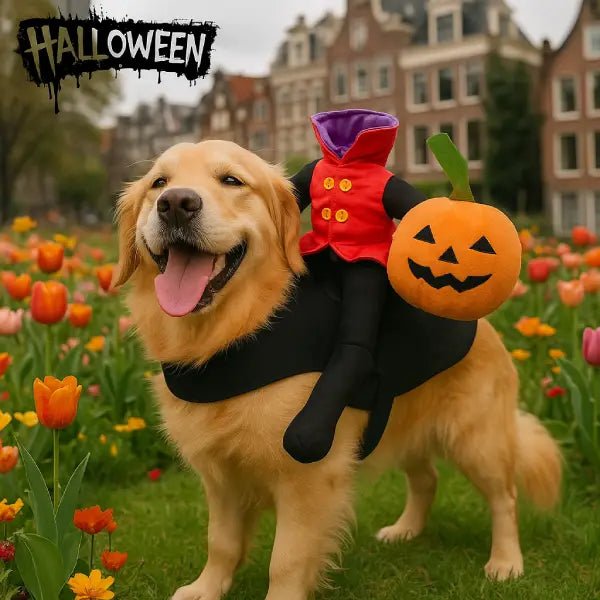 Golden retriever wearing a headless horseman dog costume with a rider and a pumpkin in a field of tulips