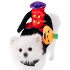 Small white fluffy dog wearing a headless horseman costume with a red jacket rider and a plush pumpkin