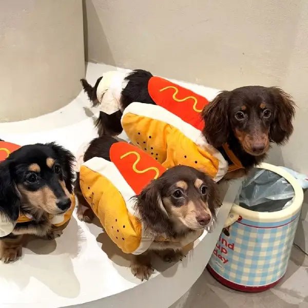 Three dachshunds wearing hot dog costumes for dogs indoors