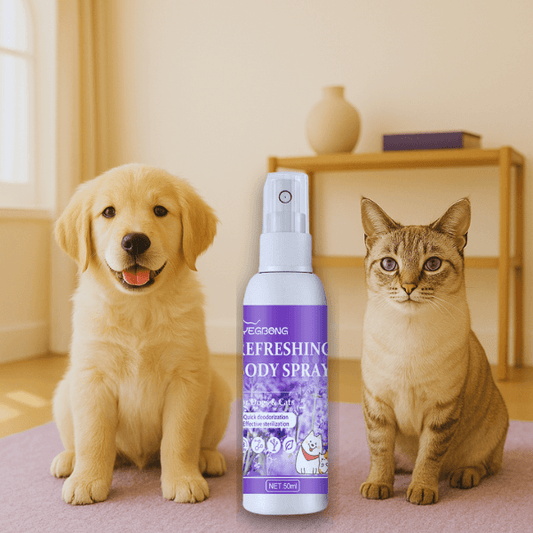 Cat stretching on kitchen counter as a curious puppy watches beside Pet Store ED calming spray