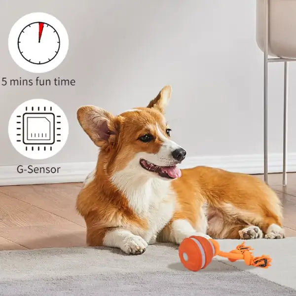 Interactive dog toy on floor helping reduce stress with gentle mental stimulation indoors
