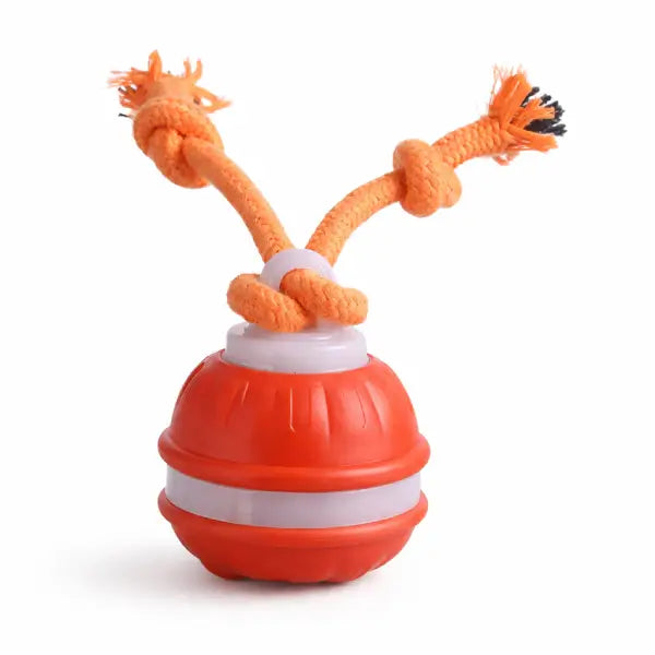 Close view of enrichment product within interactive cat toys category for daily play