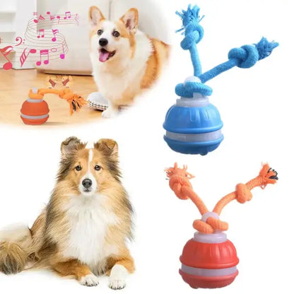 Collection of smart pet toys highlighting interactive dog toys for daily stimulation